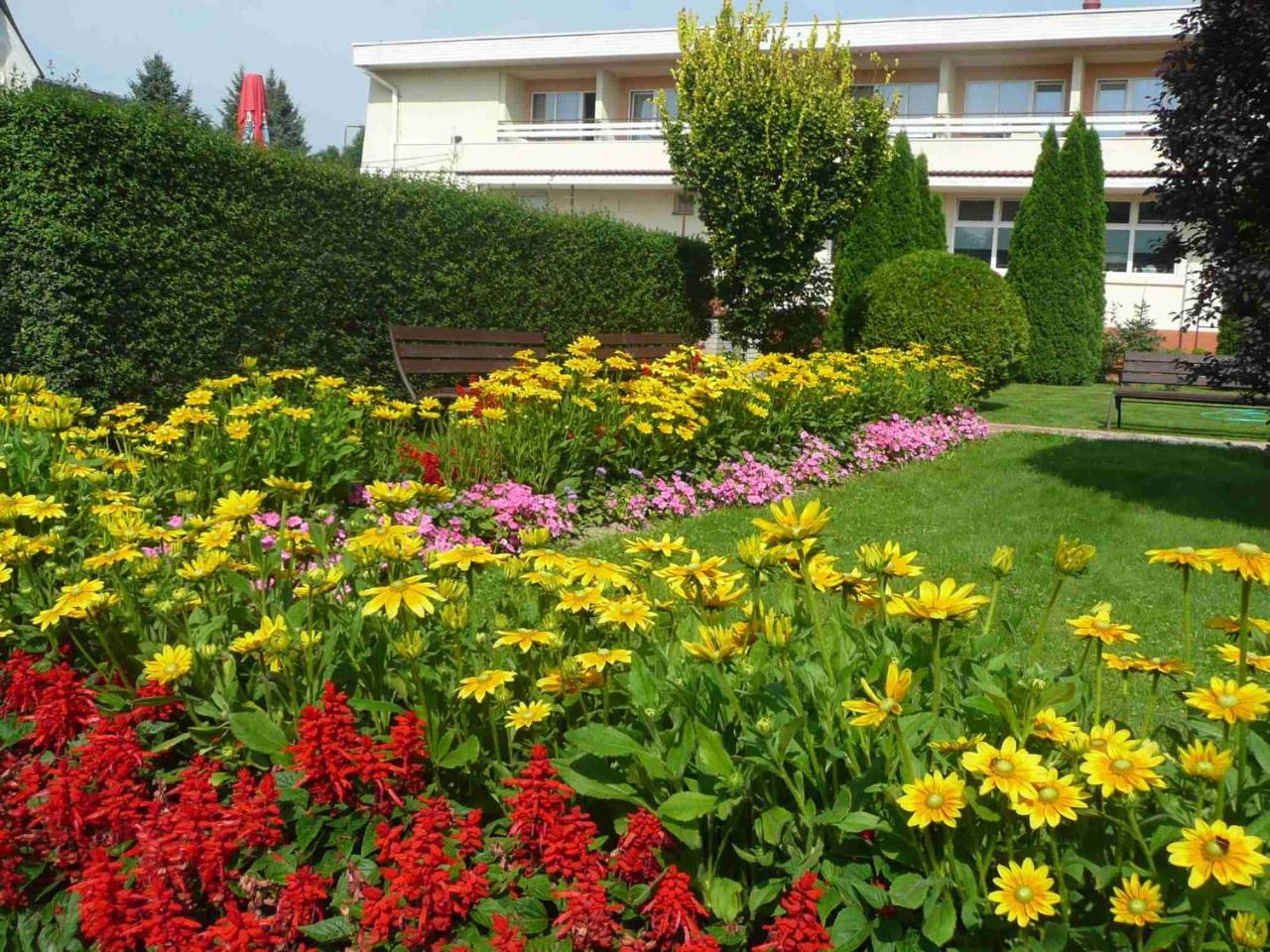 دودينتسي Hotel Pramen - Sivek Hotels المظهر الخارجي الصورة